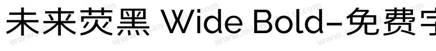 未来荧黑 Wide Bold字体转换